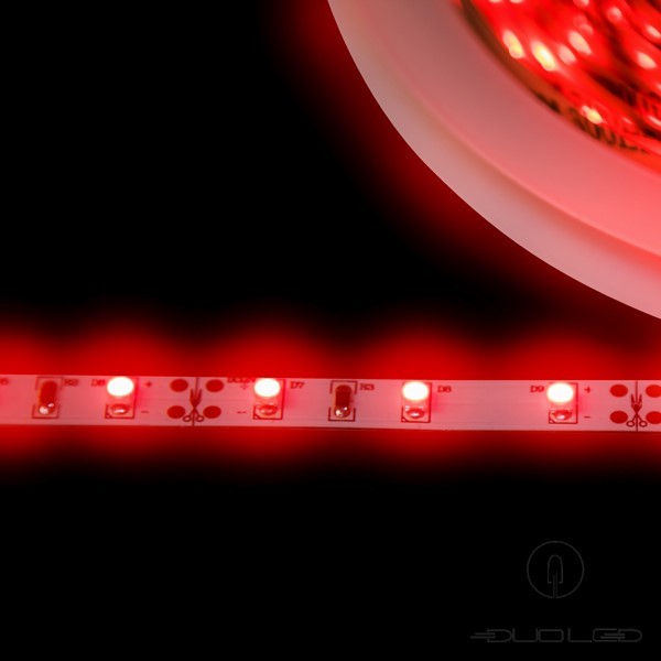 LED strip SMD3528 12V 4.8W/m red IP20 60LED/m
