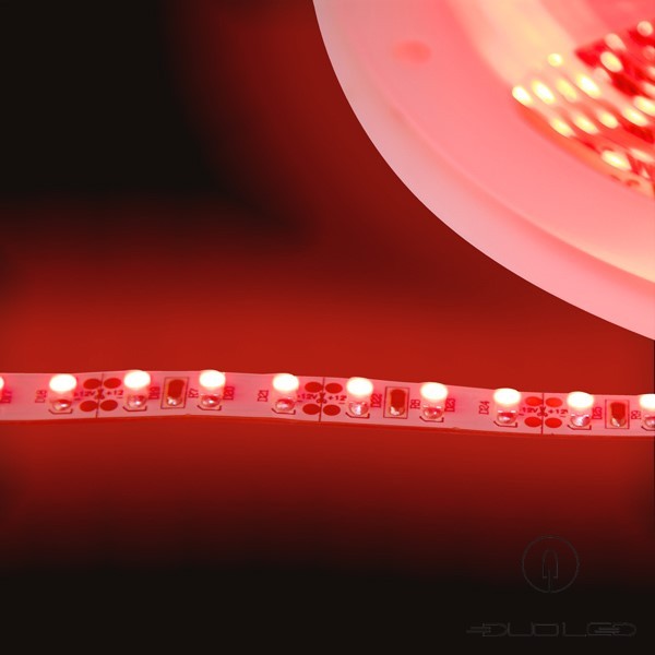 LED strip SMD3528 12V 9.6W/m red IP20 120LED/m