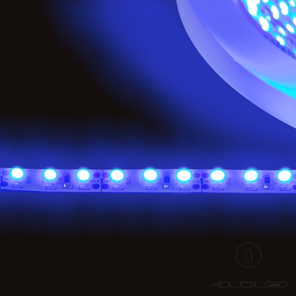 LED strip SMD3528 12V 9.6W/m blue IP20 120LED/m