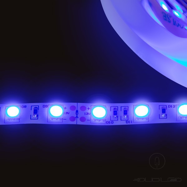 LED strip SMD5050 12V 14.4W/m blue IP65 60LED/m