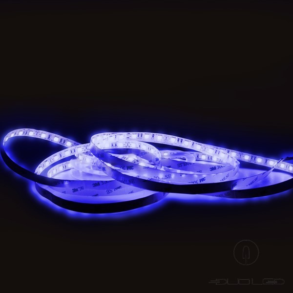 LED strip SMD5050 12V 14.4W/m blue IP65 60LED/m