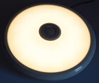 LED Aufbauleuchte 12W 800Lm K3000 PIR Bew-Melder