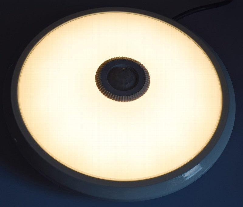 LED surface-mounted light 12W 820lm K4000 PIR motion detector